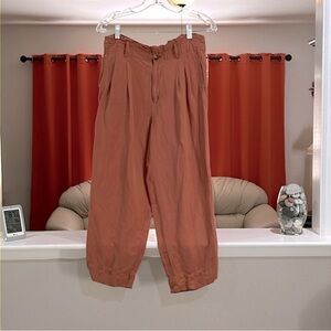 Madewell Paperbag Pleated Chinos Relaxed Fit Pants Size 6